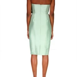 Badgley Mischka Strapless Bow Cocktail Dress -Badgley Mischka shop SC9003 CELA 3 63680.1645131626