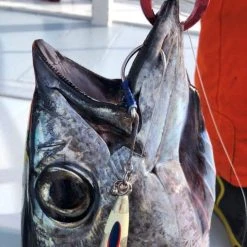 Assist Hook - Vanfook - GS-70 JIGEN 4 BRAIDS ASSIST GRIPPY -Badgley Mischka shop assist hook vanfook gs 70 jigen 4 braids assist grippy 156791