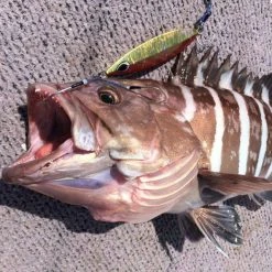 Assist Hook - Vanfook - JLT-46 JIGEN LONG TWIN -Badgley Mischka shop assist hook vanfook jlt 46 jigen long twin 406550