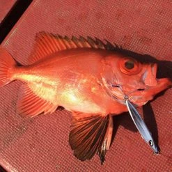 Assist Hook - Vanfook - JLT-46 JIGEN LONG TWIN -Badgley Mischka shop assist hook vanfook jlt 46 jigen long twin 910730