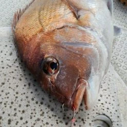 Hook - Vanfook - SW-04 SWIFTER SUPER LIGHT JIGGING -Badgley Mischka shop hook vanfook sw 04 swifter super light jigging 204449