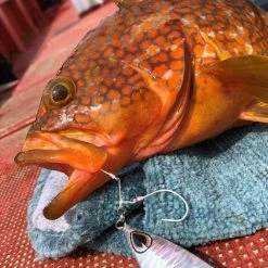 Hook - Vanfook - SW-04 SWIFTER SUPER LIGHT JIGGING -Badgley Mischka shop hook vanfook sw 04 swifter super light jigging 913635