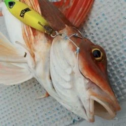 Hook - Vanfook - SW-04 SWIFTER SUPER LIGHT JIGGING -Badgley Mischka shop hook vanfook sw 04 swifter super light jigging 990135