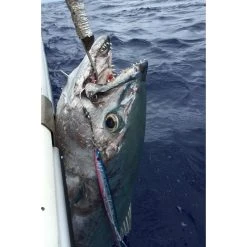 Single Hook - Decoy - JS-2 Jigging Single Cutlass -Badgley Mischka shop single hook decoy js2 jigging single cutlass 647918