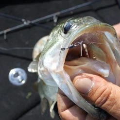 Warm Hook - Decoy - HD Hook Offset Worm 117 -Badgley Mischka shop warm hook decoy hd hook offset worm 117 596462